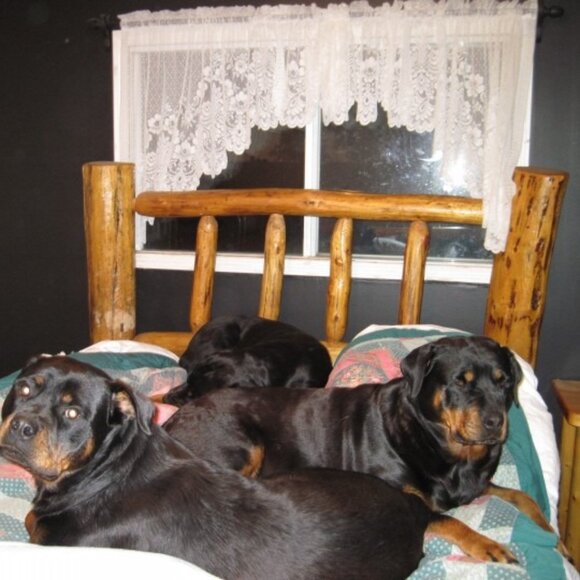 Meet your Posher, Mr drip - Picture 1 of 1